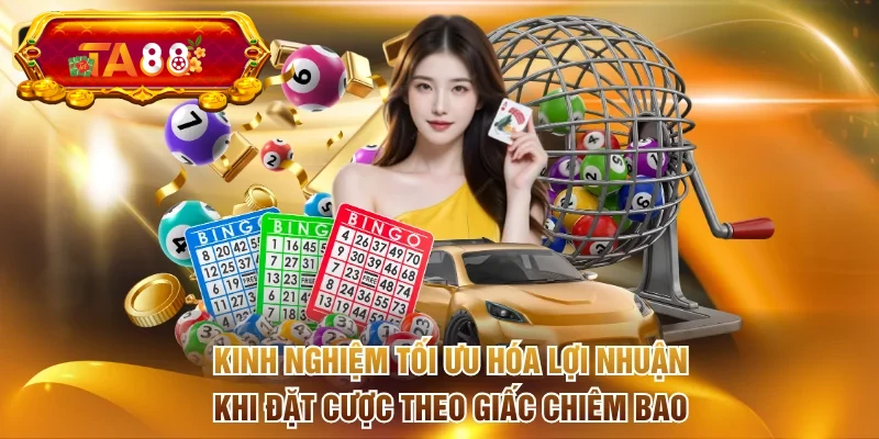 Kinh nghiệm tối ưu hóa lợi nhuận khi đặt cược theo giấc chiêm bao